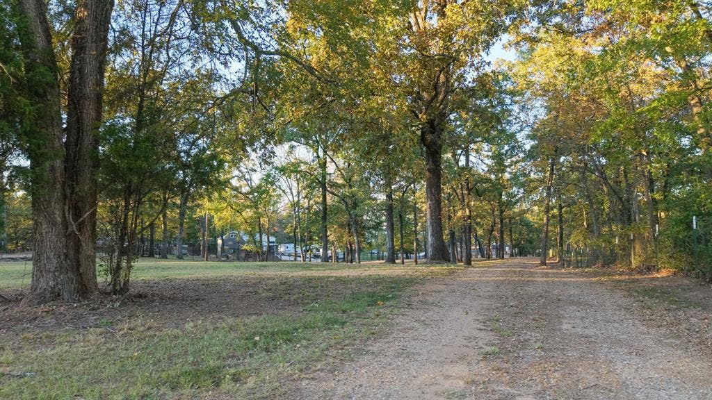 6001 Melba Drive, Malakoff, TX 75148 Driveway into the property from the street.