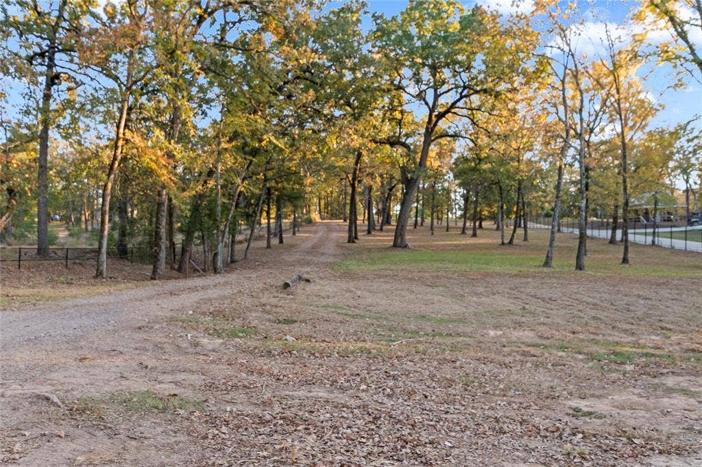 6001 Melba Drive, Malakoff, TX 75148 Gorgeous treed setting offers privacy and shade