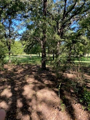 8601 Lowery Road, Fort Worth, TX 76120 Diverse Topo through out the property