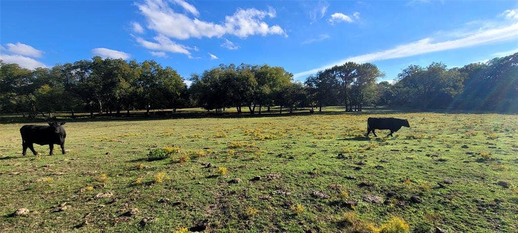8601 Lowery Road, Fort Worth, TX 76120 Several Open Pasture areas