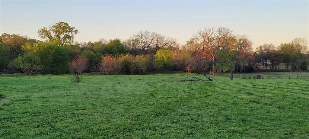 8601 Lowery Road, Fort Worth, TX 76120 Expansive open field with green grass, bordered by a dense tree line featuring various deciduous and evergreen trees