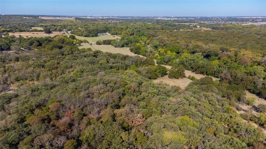 8601 Lowery Road, Fort Worth, TX 76120 Expansive natural landscape featuring dense tree coverage and scattered open clearings