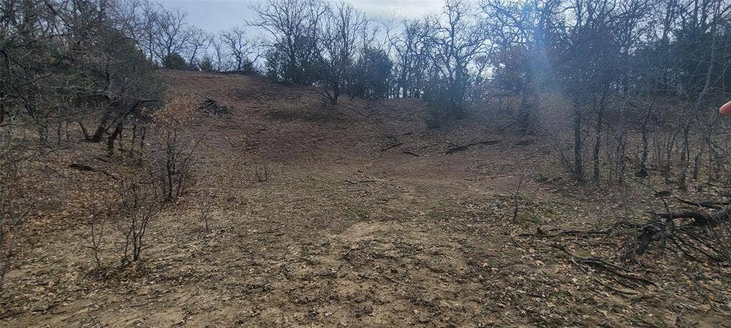8601 Lowery Road, Fort Worth, TX 76120 Natural, undeveloped land featuring diverse terrain with mature trees and varied underbrush