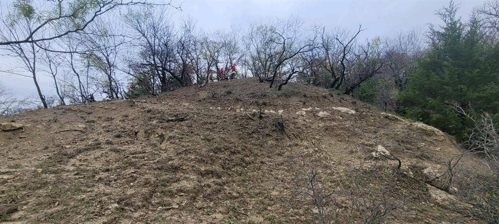 8601 Lowery Road, Fort Worth, TX 76120 Gradual earthen slope with scattered brush and trees