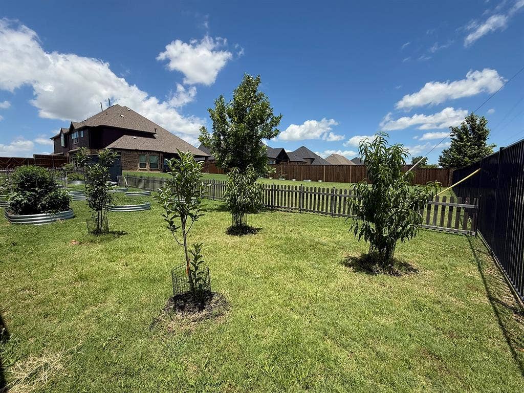 800 Beckington Drive, Shady Shores, TX 76208 Spacious backyard featuring multiple young trees, raised garden beds, a picket fence, and a dark privacy fence