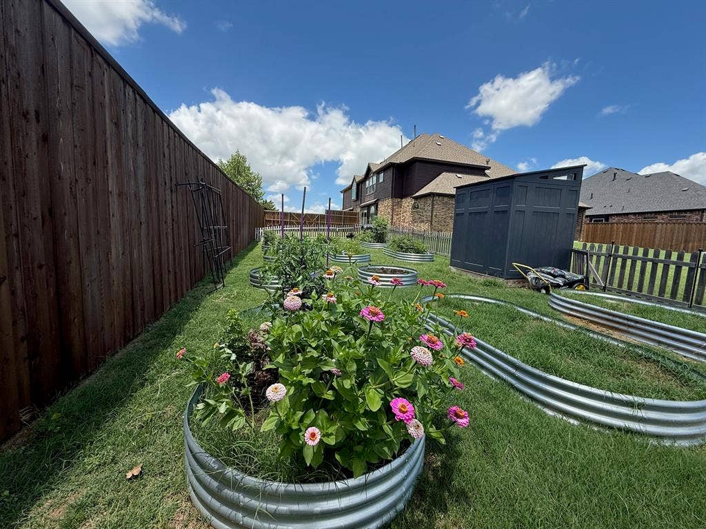 800 Beckington Drive, Shady Shores, TX 76208 Expansive backyard featuring a stained wood privacy fence, multiple galvanized steel raised garden beds, and a dark-toned storage shed