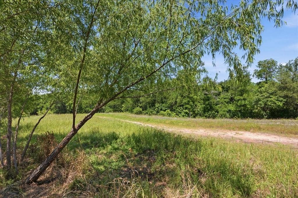 339 Creekview Terrace, Aledo, TX 76008 Greenbelt