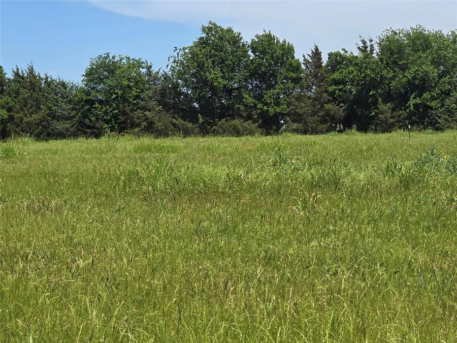 Property photo for TBD County Road 1039, Blue Ridge, TX
