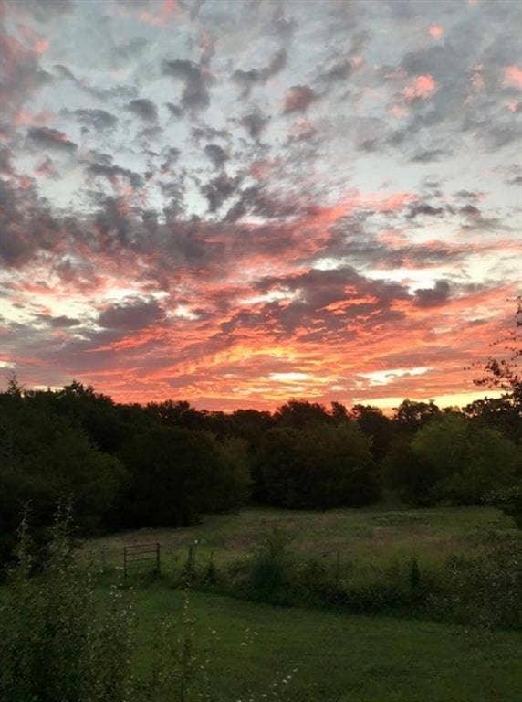 Property photo for TBD County Road 2320, Terrell, TX