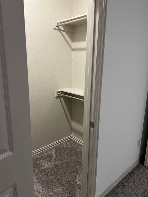 6041 Roper Road, McKinney, TX 75070 Recessed closet space featuring carpet flooring and base molding