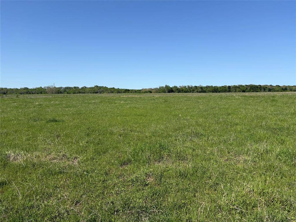 1500 Private Road 8496, Athens, TX 75832 Ten acres of Texas land ready for your country living vision.