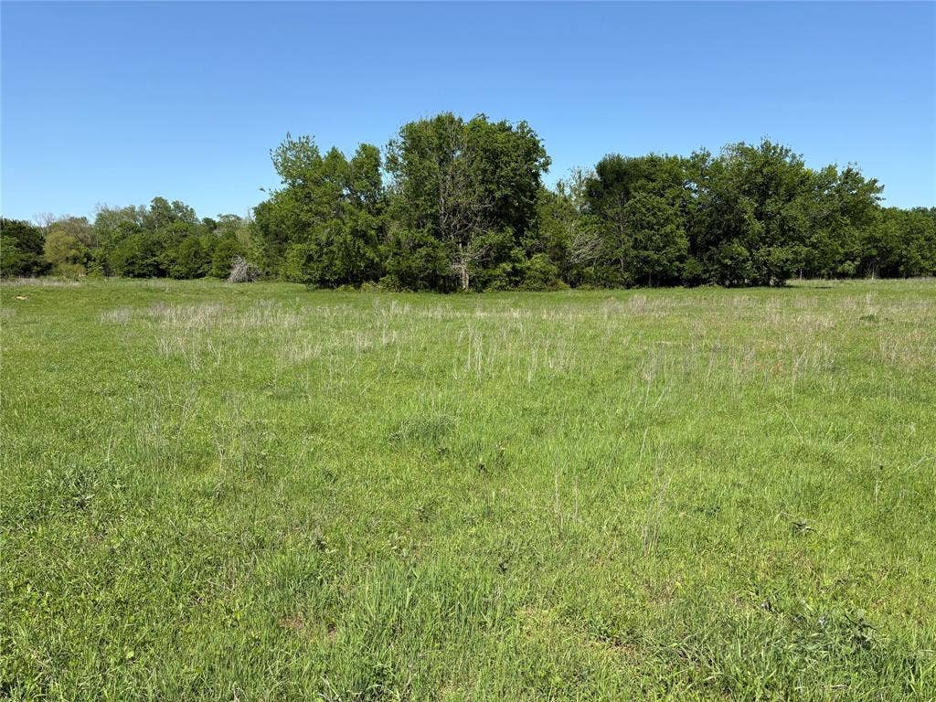 1500 Private Road 8496, Athens, TX 75832 Native grasses and open land create a classic Texas country landscape.