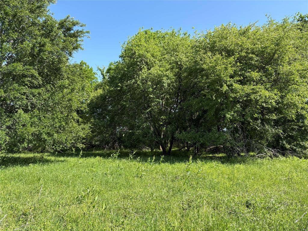 1500 Private Road 8496, Athens, TX 75832 Build your dream home surrounded by nature, wildlife, and peaceful countryside.