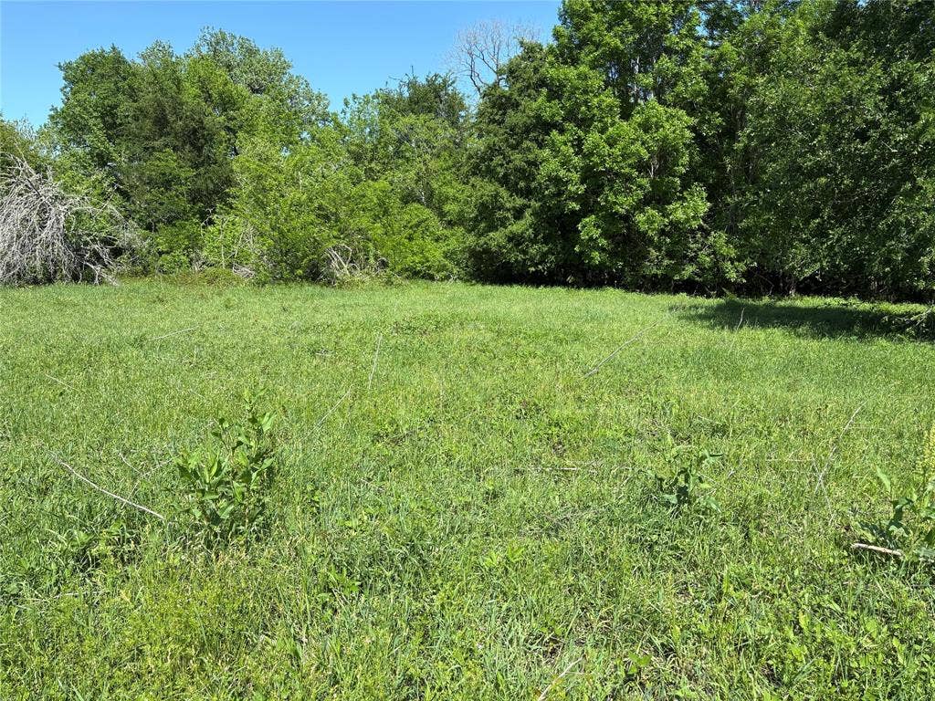 1500 Private Road 8496, Athens, TX 75832 Bring your barndominium plans and enjoy ten acres of freedom, privacy, and natural beauty.