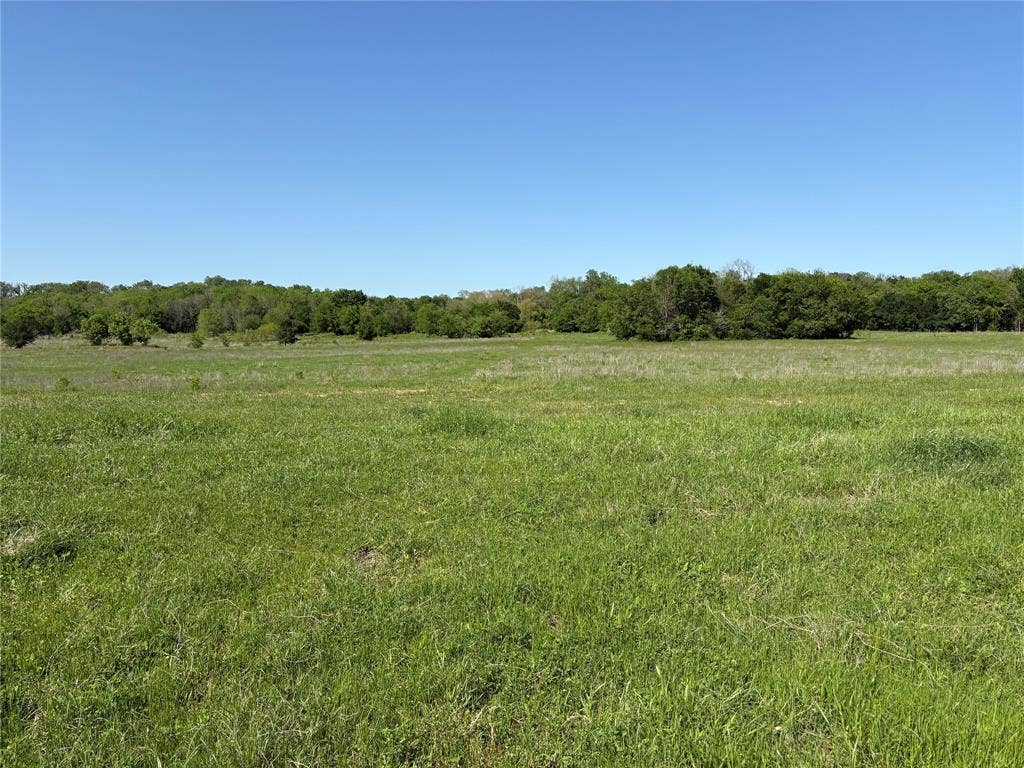 1500 Private Road 8496, Athens, TX 75832 This River Point acreage is ideal for DFW and Houston relocation buyers.