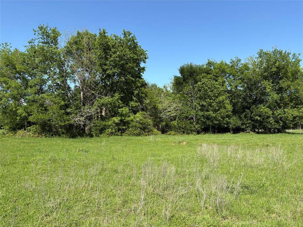 1500 Private Road 8496, Athens, TX 75832 Mostly cleared acreage provides the perfect setting for a custom home, barndominium, or Texas homestead