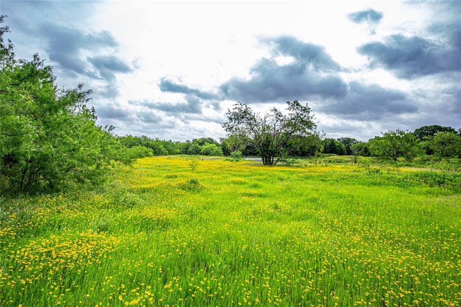 Property photo for TBD Gholson RD, Waco, TX