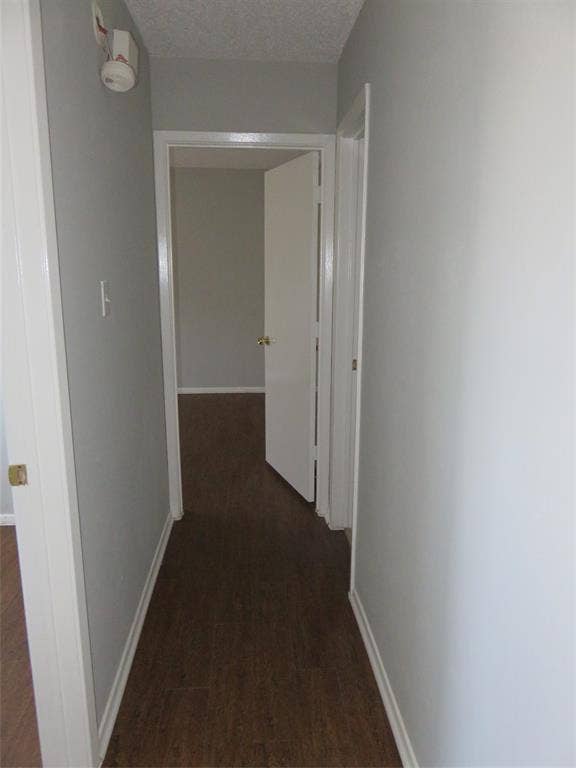 3903/3901 William Street, Sachse, TX 75048 3903/3901 William Street, Sachse, TX 75048