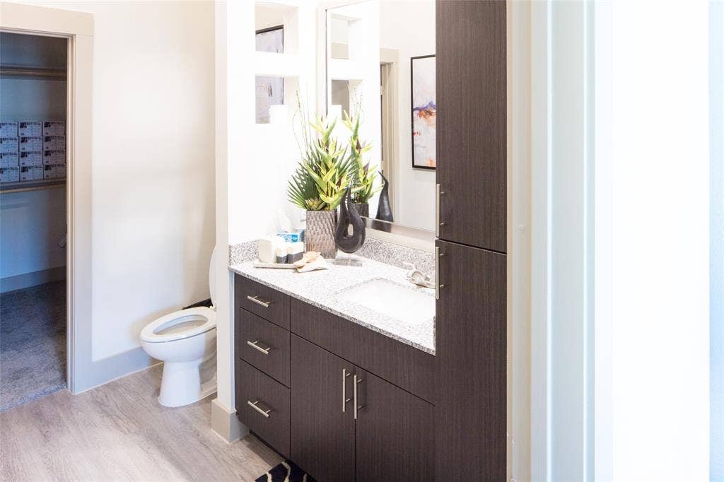 901 N Zang Boulevard, #211, Dallas, TX 75208 Bathroom featuring hardwood / wood-style floors, vanity, and toilet