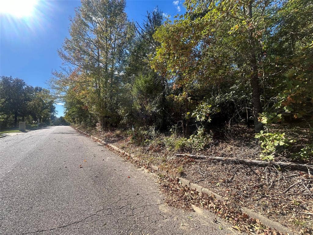11 Bayshore Drive, Athens, TX 75752 11 Bayshore Drive, Athens, TX 75752