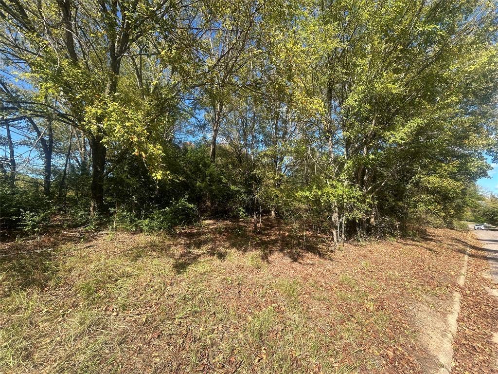 10 Bayshore Drive, Athens, TX 75752 10 Bayshore Drive, Athens, TX 75752