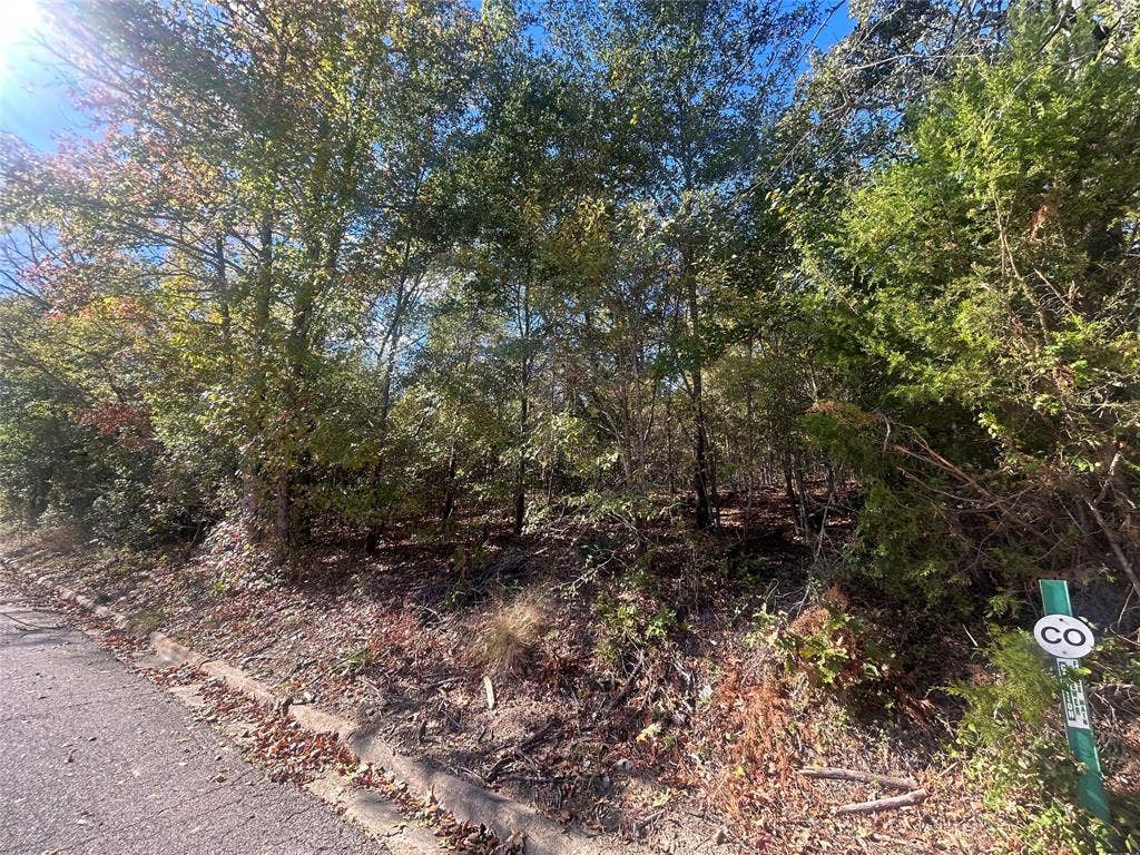 9 Bayshore Drive, Athens, TX 75752 9 Bayshore Drive, Athens, TX 75752