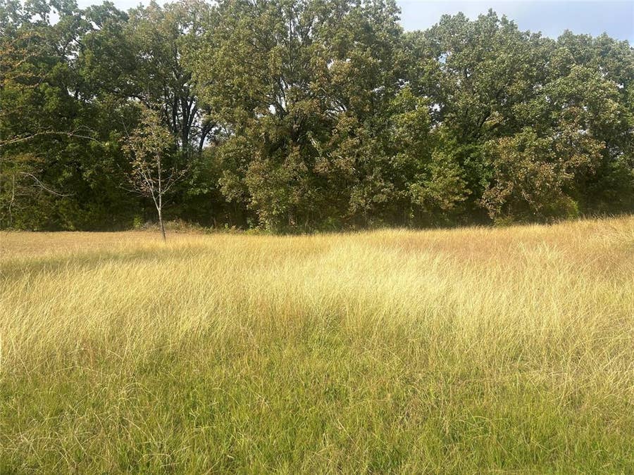 Property photo for 46 Kanakoa Drive, Tool, TX