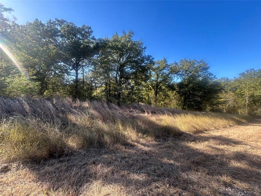 Property photo for 58 Point Lavista, Malakoff, TX