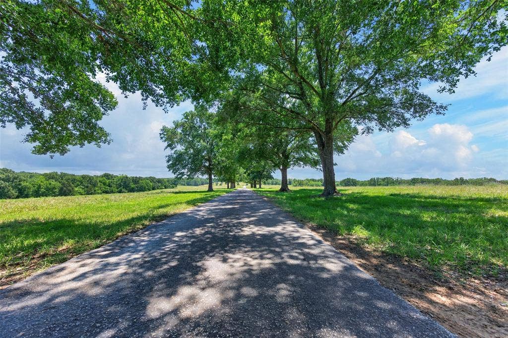 1053 ACR 499, Athens, TX 75751 1053 ACR 499, Athens, TX 75751