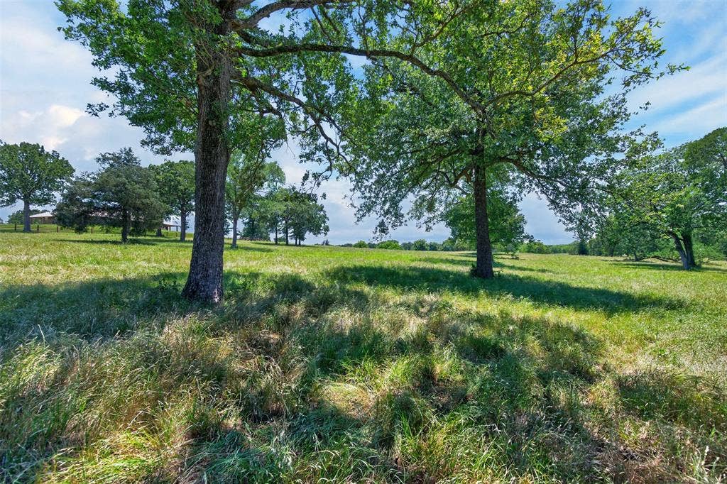 1053 ACR 499, Athens, TX 75751 1053 ACR 499, Athens, TX 75751