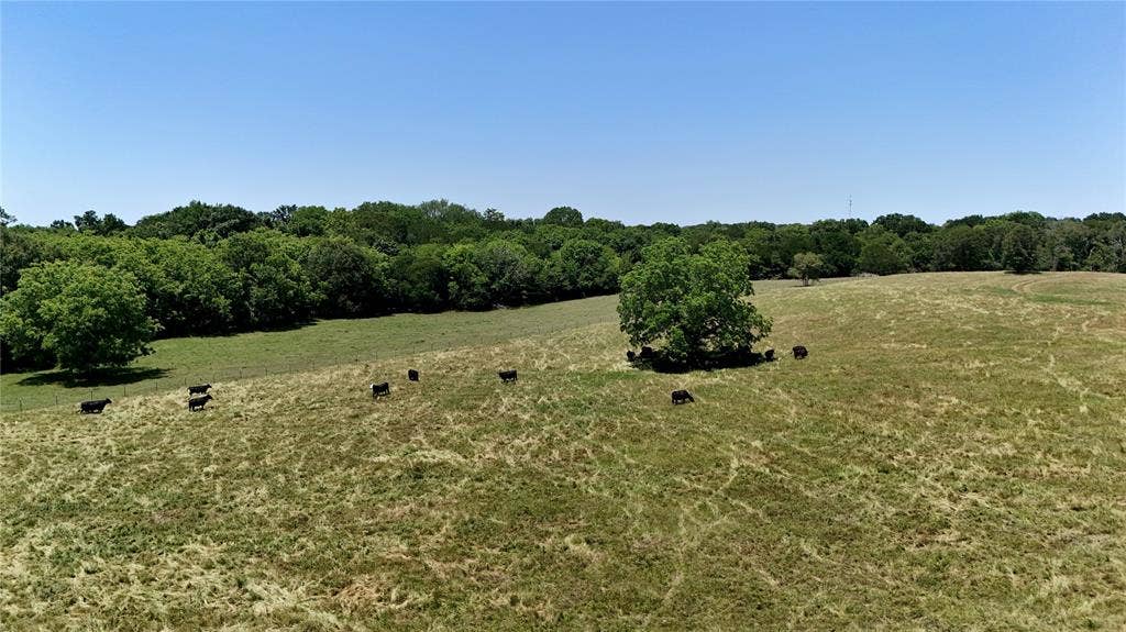 1053 ACR 499, Athens, TX 75751 1053 ACR 499, Athens, TX 75751