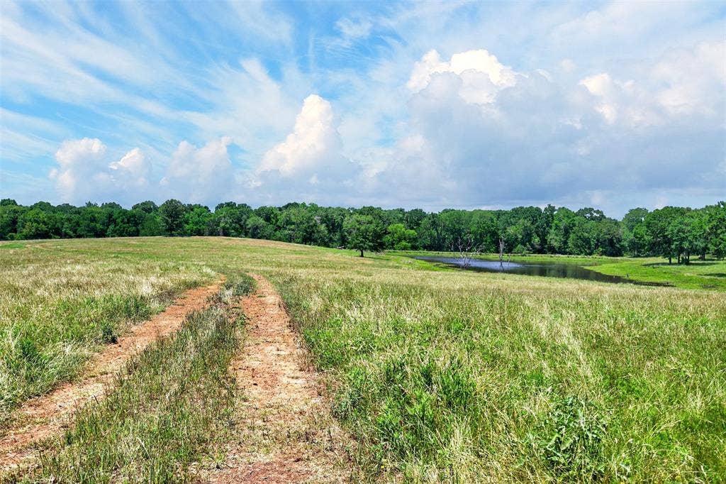 1053 ACR 499, Athens, TX 75751 1053 ACR 499, Athens, TX 75751