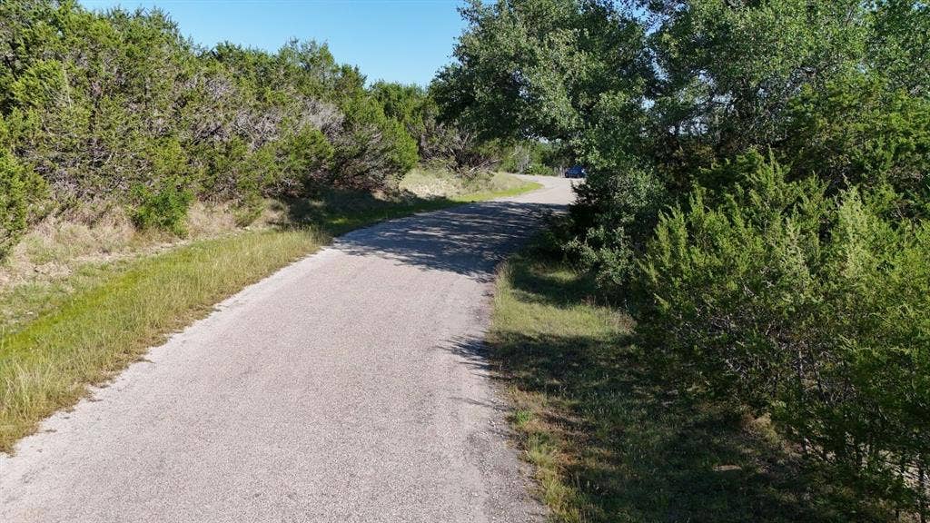 Paved road winding through natural landscaping with mature trees and native grasses