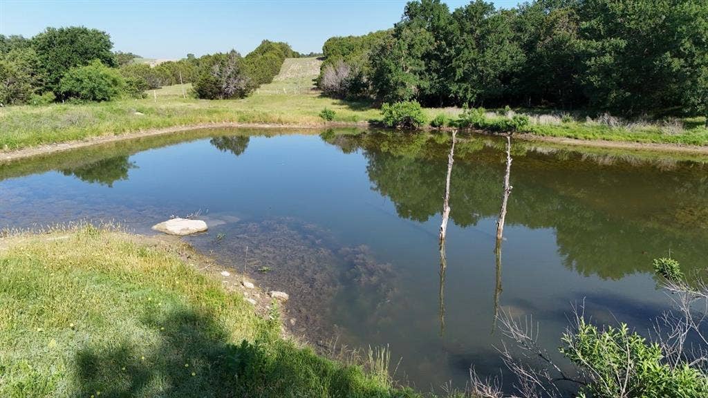 Natural pond with clear water surrounded by green banks