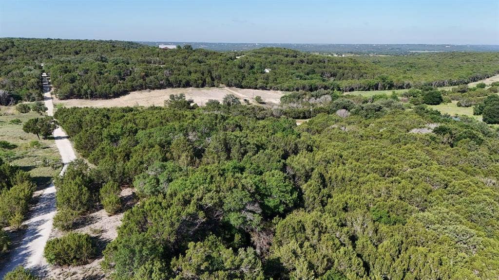 Expansive acreage featuring dense tree coverage and open clearings