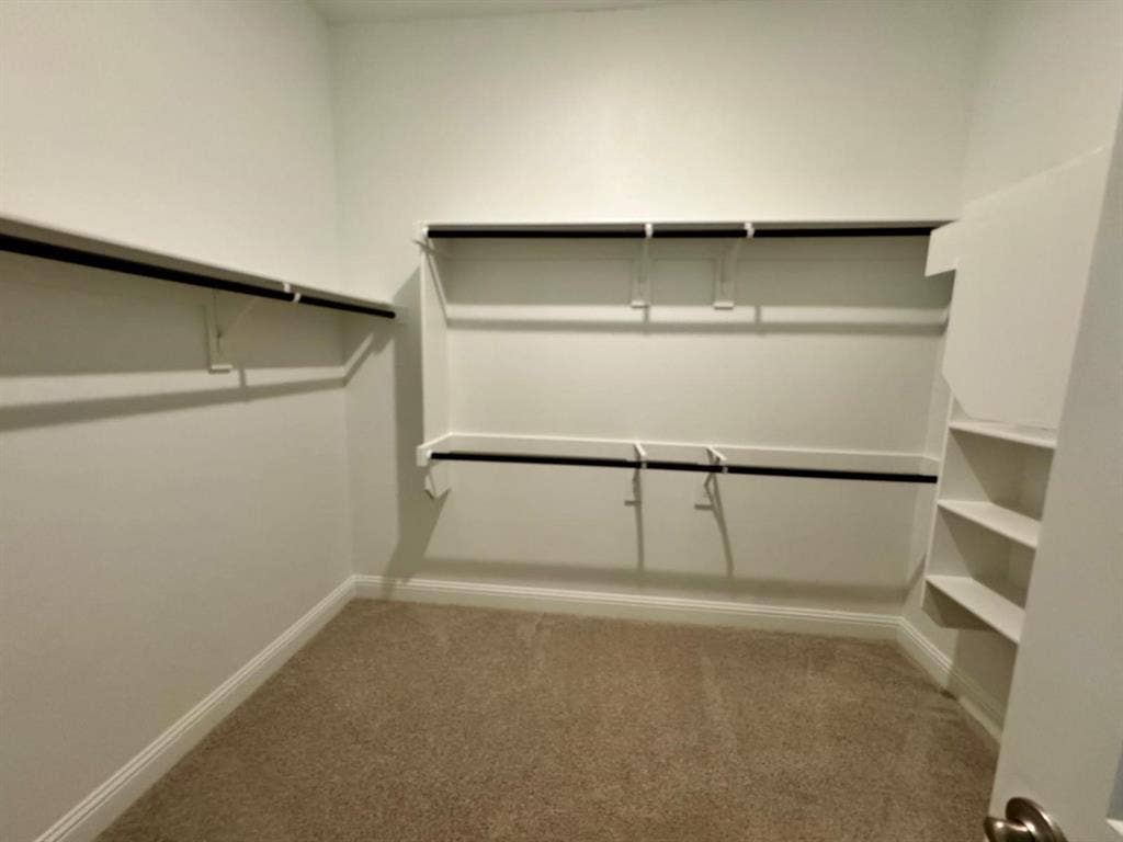 2930 Eleanor Drive, Prosper, TX 75078 Spacious closet with carpet flooring