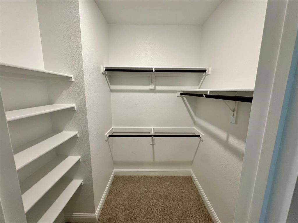 2930 Eleanor Drive, Prosper, TX 75078 Walk in closet featuring carpet floors