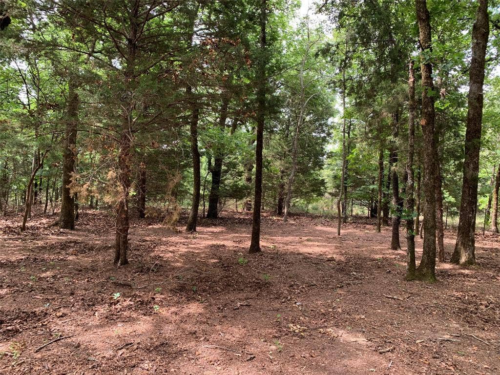 TBD County Road 3711, Athens, TX 75752 TBD County Road 3711, Athens, TX 75752