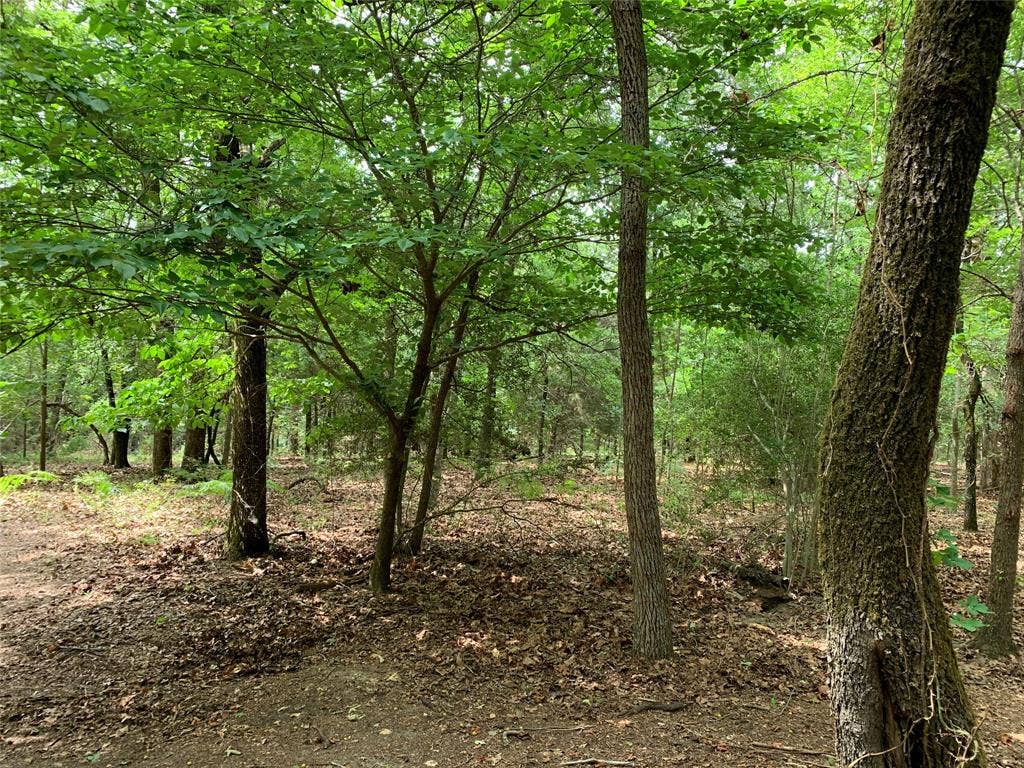 TBD County Road 3711, Athens, TX 75752 TBD County Road 3711, Athens, TX 75752