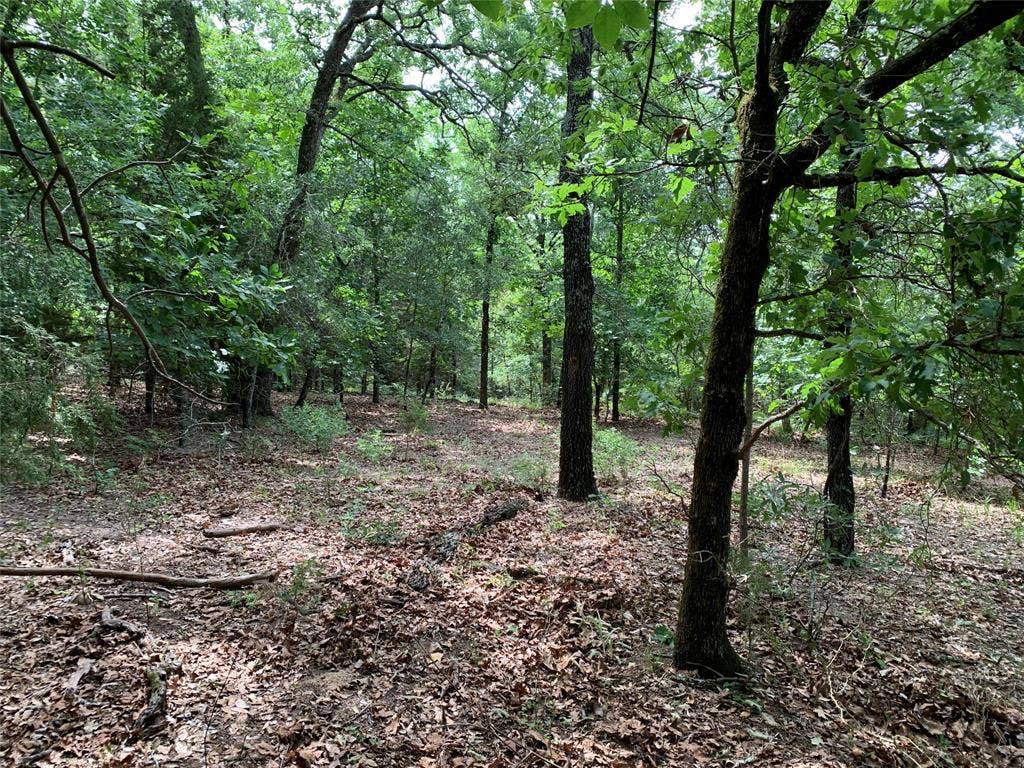TBD County Road 3711, Athens, TX 75752 TBD County Road 3711, Athens, TX 75752