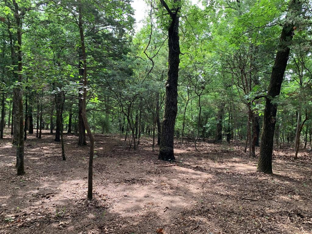 TBD County Road 3711, Athens, TX 75752 TBD County Road 3711, Athens, TX 75752