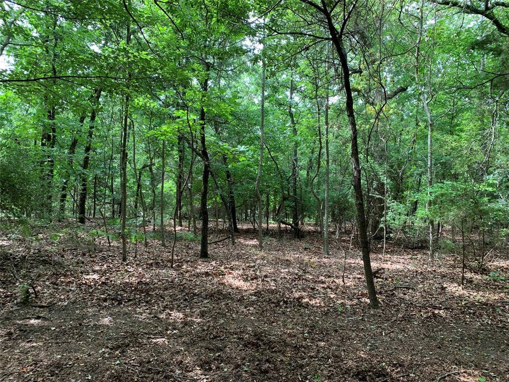 TBD County Road 3711, Athens, TX 75752 TBD County Road 3711, Athens, TX 75752