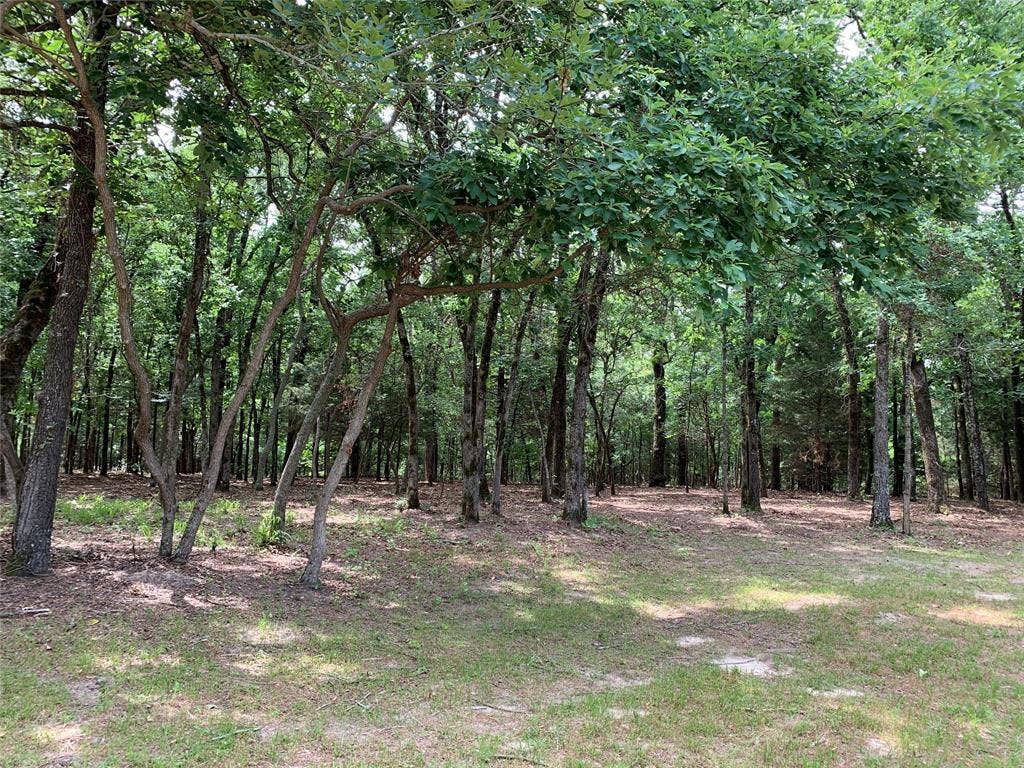 TBD County Road 3711, Athens, TX 75752 TBD County Road 3711, Athens, TX 75752