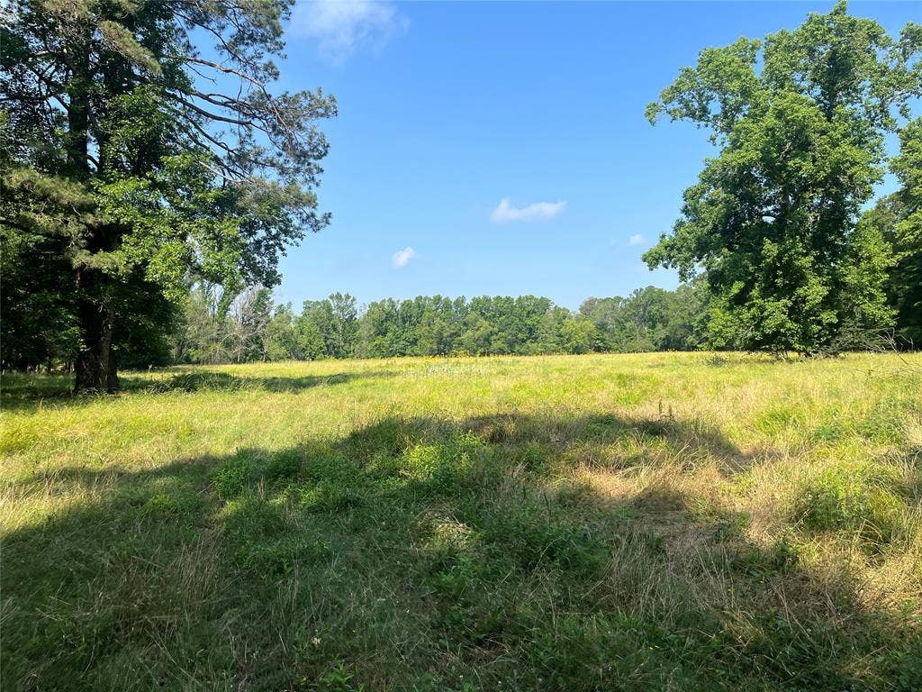 TBD Hwy 135, Troup, TX 75789 TBD Hwy 135, Troup, TX 75789