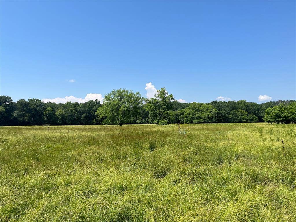 TBD Hwy 135, Troup, TX 75789 TBD Hwy 135, Troup, TX 75789