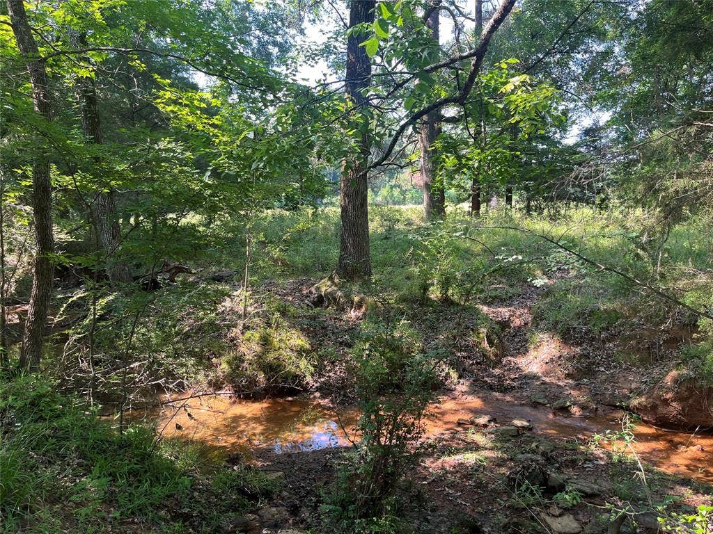 TBD Hwy 135, Troup, TX 75789 TBD Hwy 135, Troup, TX 75789