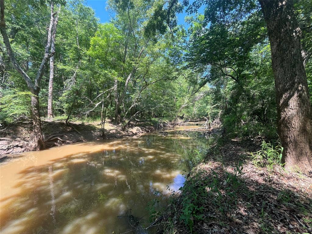 TBD Hwy 135, Troup, TX 75789 TBD Hwy 135, Troup, TX 75789