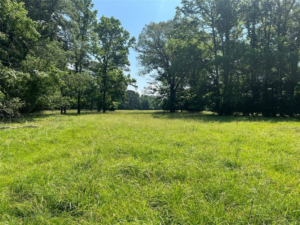 TBD Hwy 135, Troup, TX 75789 TBD Hwy 135, Troup, TX 75789