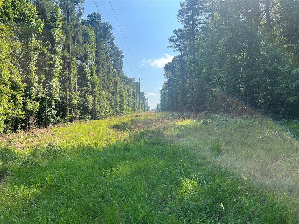 TBD Hwy 135, Troup, TX 75789 TBD Hwy 135, Troup, TX 75789