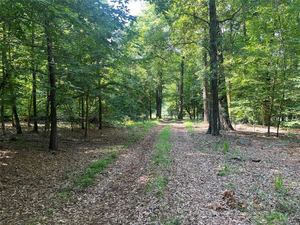 TBD Hwy 135, Troup, TX 75789 TBD Hwy 135, Troup, TX 75789